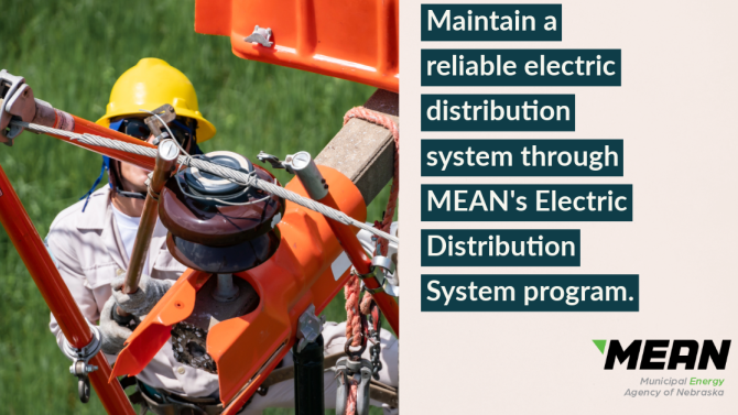 Electric Distribution Service
